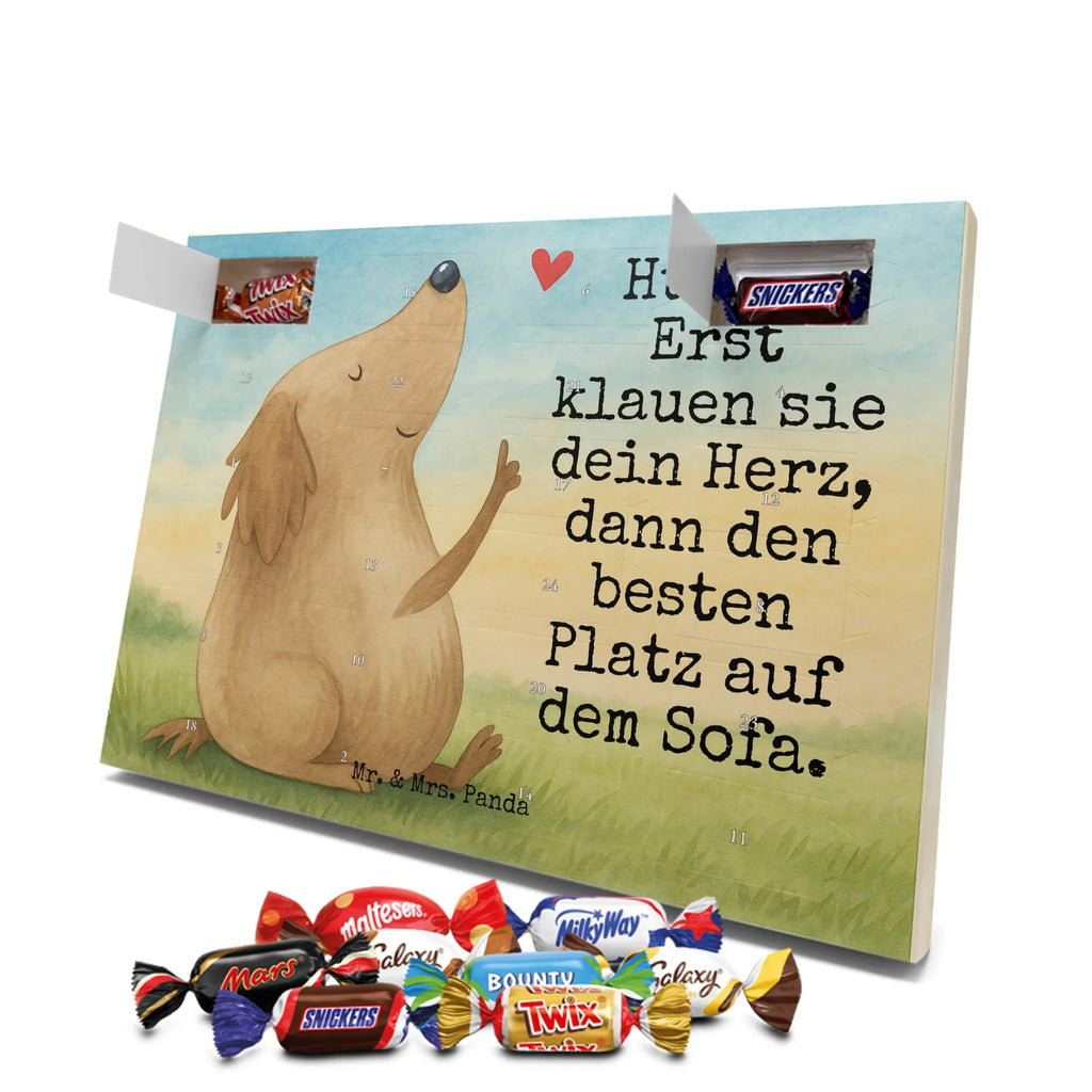  Pies miłość Design Pies, rasa psa, właściciel psa, miłośnik zwierząt, motyw psa, zwierzę domowe, powiedzenia