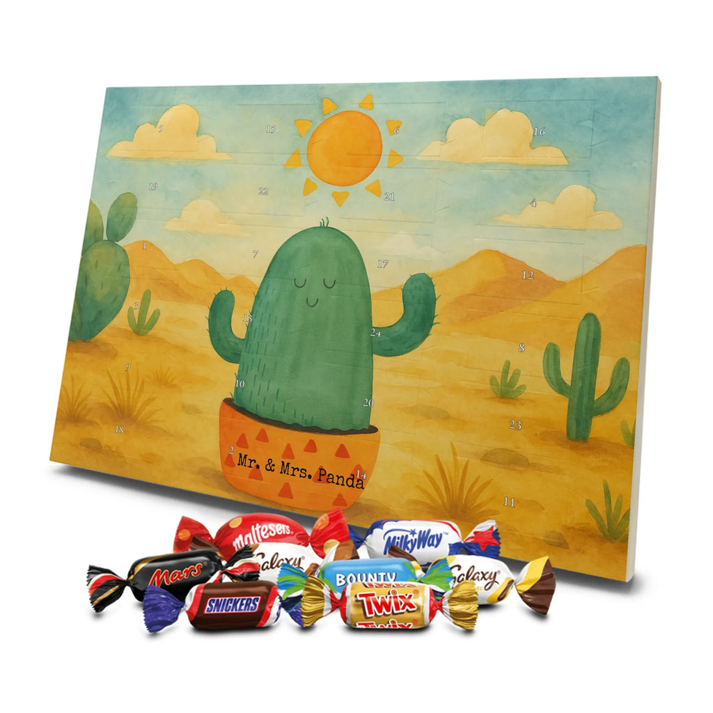 Chocolate advent calendar cactus Sun Design cactus, cactuses, plants, cactus plant, small green cactus, new start, divorce, separation, lovesickness, lovesickness gift, love cactus love, gift idea, adultery, sun, girlfriend