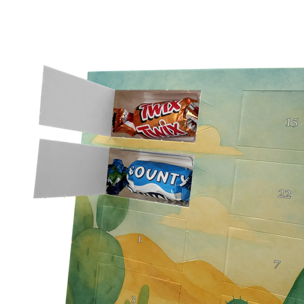 Chocolate advent calendar cactus Sun Design cactus, cactuses, plants, cactus plant, small green cactus, new start, divorce, separation, lovesickness, lovesickness gift, love cactus love, gift idea, adultery, sun, girlfriend