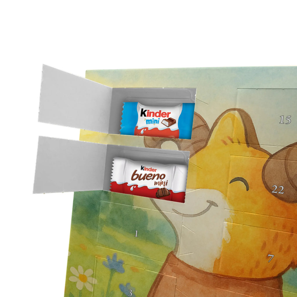 Chocolate advent calendar Aries Astrology Design constellations, birthdays, astrology, date of birth, month of birth