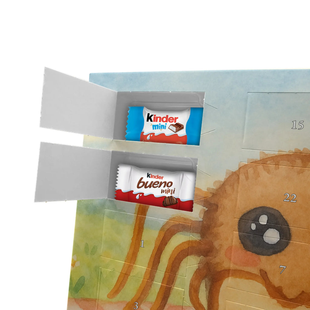 Chocolate advent calendar Spider Agathe Sandwich Design Spider Agathe, Spider