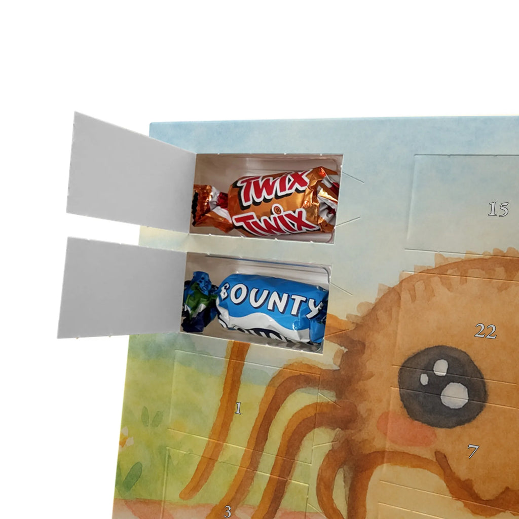 Chocolate advent calendar Spider Agathe Sandwich Design Spider Agathe, Spider