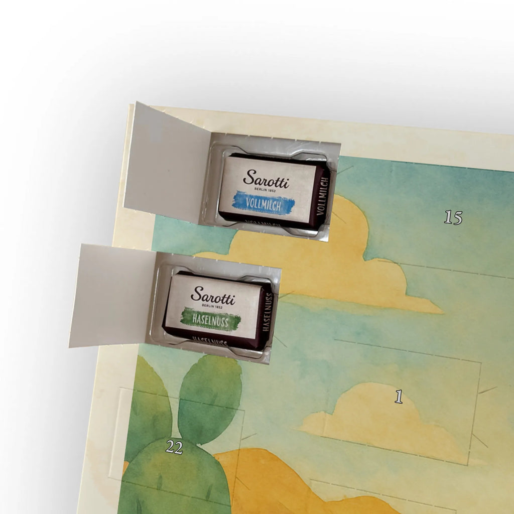 Chocolate advent calendar cactus Sun Design cactus, cactuses, plants, cactus plant, small green cactus, new start, divorce, separation, lovesickness, lovesickness gift, love cactus love, gift idea, adultery, sun, girlfriend