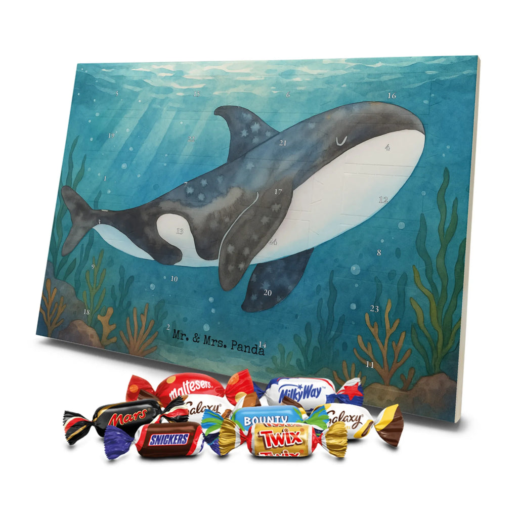 Chocolate advent calendar Orca Design gift ideas, vacation, Seafood, aquatic animals, ocean, shells, corals, reef, whale, narwhal, sea urchin, lobster, platypus, manatee, crocodile, shrimp, gifts for seafood lovers, water world, underwater animals, underwater world, deep sea, seafood fans, seafood decoration, seafood posters, killer whale, self-love, work, new start, opportunities