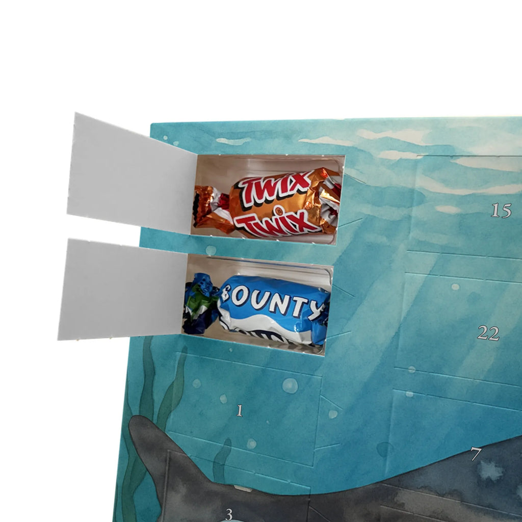 Chocolate advent calendar Orca Design gift ideas, vacation, Seafood, aquatic animals, ocean, shells, corals, reef, whale, narwhal, sea urchin, lobster, platypus, manatee, crocodile, shrimp, gifts for seafood lovers, water world, underwater animals, underwater world, deep sea, seafood fans, seafood decoration, seafood posters, killer whale, self-love, work, new start, opportunities