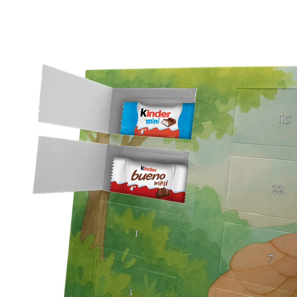 Chocolate advent calendar tortoise walker Design gift, gift ideas, cute, illustrated, tortoise, reptile, ancient creature, sweet, birthday gift, turtle gift items, funny turtle gifts, pet turtles, best friend, sister or daughter, turtle lover, turtles, new beginning, motivational slogan