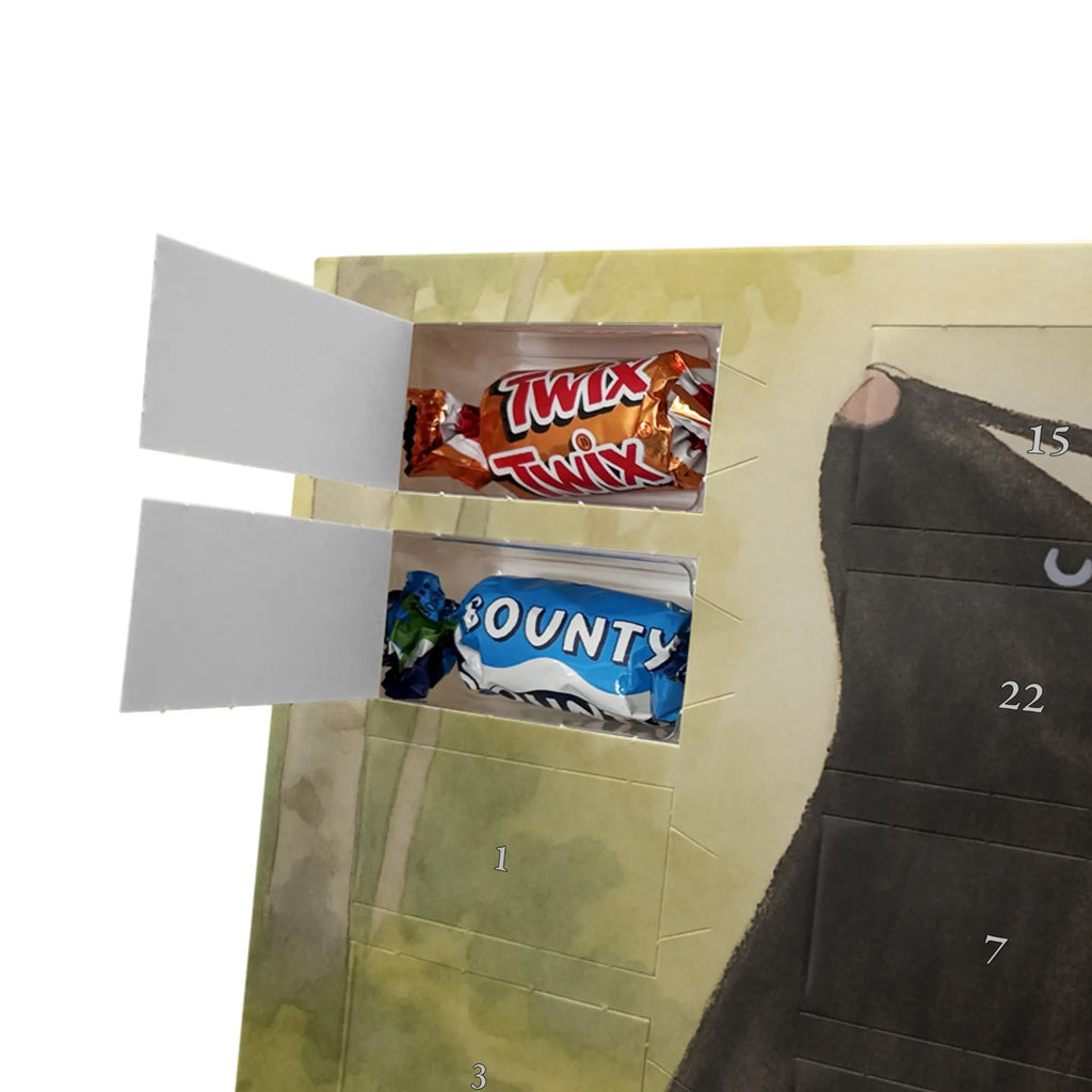 Chocolate advent calendar skunk Sit Design know-it-all, stinky, law, predator, wild animal