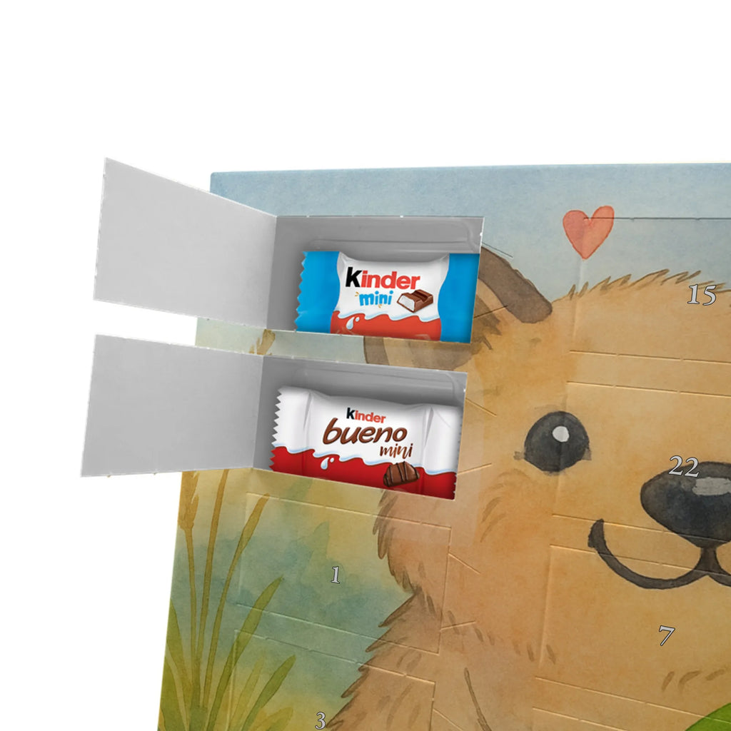 Chocolate advent calendar Quokka Happy Design card, gift ideas, gifts, small animals, cute, cute animal motives, hand drawn, funny sayings, good mood, special gifts, animal lover