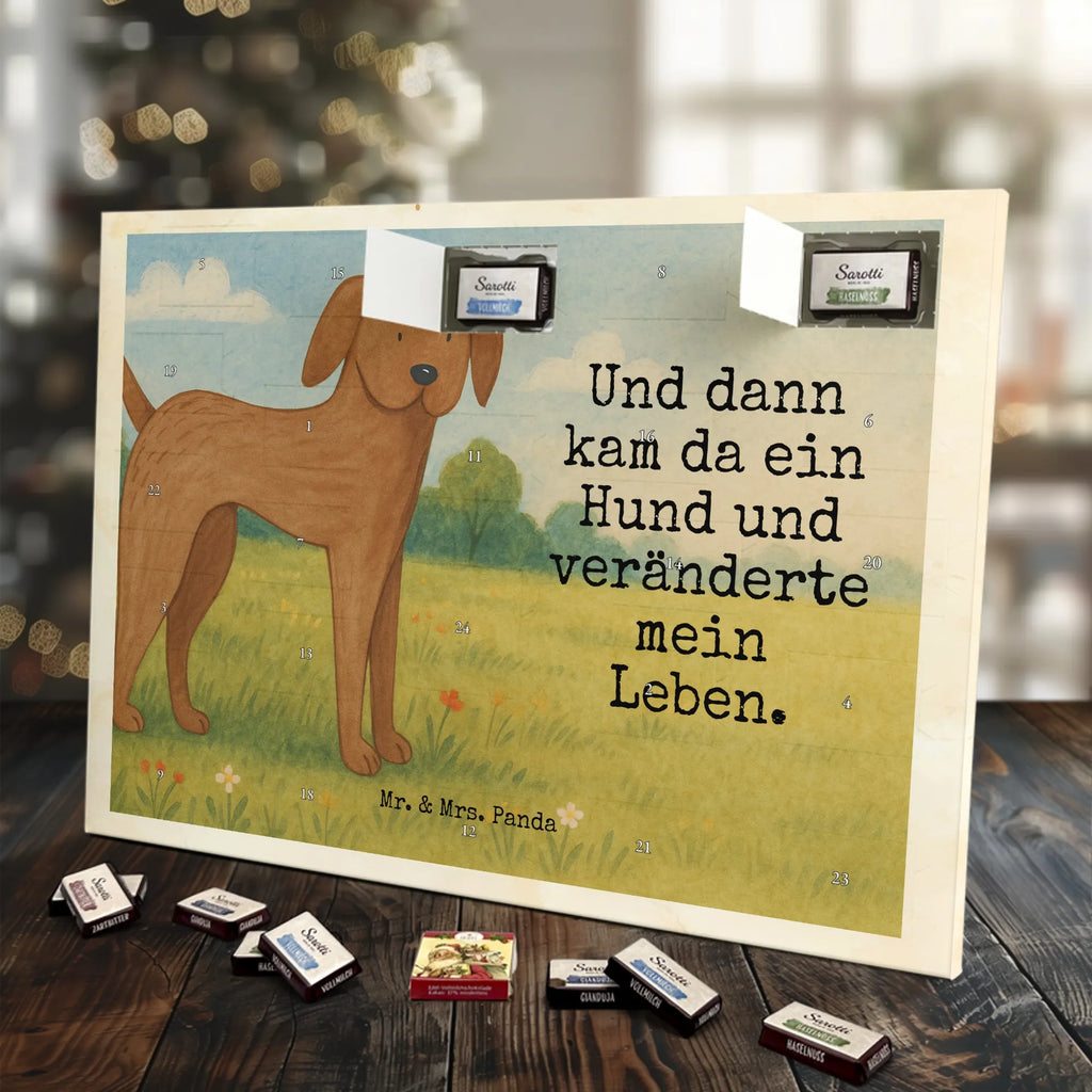 Chocolate advent calendar Dog mastiff Design dog breed, mutt, hound, woof, dog mama, love dogs, love for dogs, dog decorative items, bag with dog print, funny gifts for dog owners, what do you give a dog lover, Christmas gifts for dogs, gifts for dogs, dog sayings, Dogs