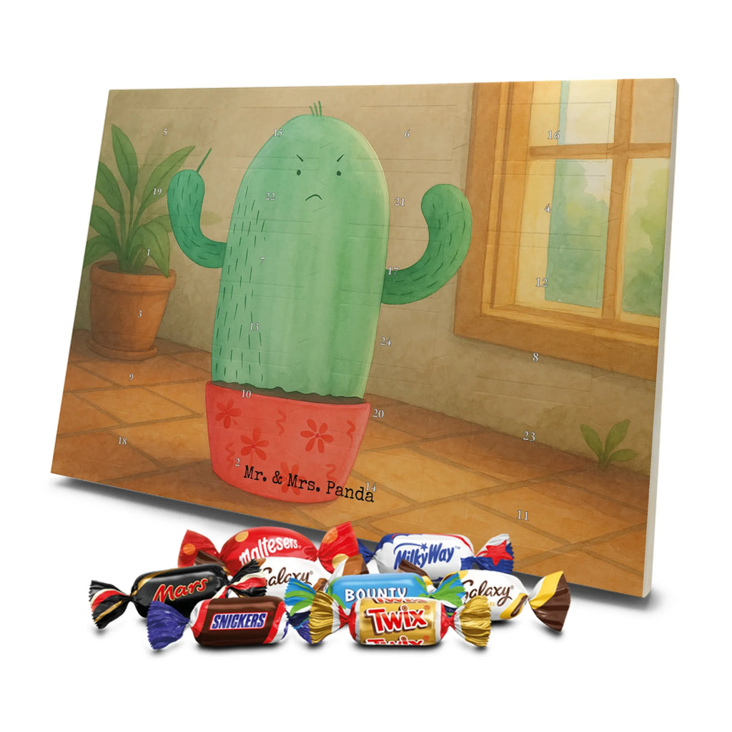 Chocolate advent calendar cactus Fury Design cactus, cactuses, plants, cactus plant, small green cactus, school, annoy, office life, colleague, angry