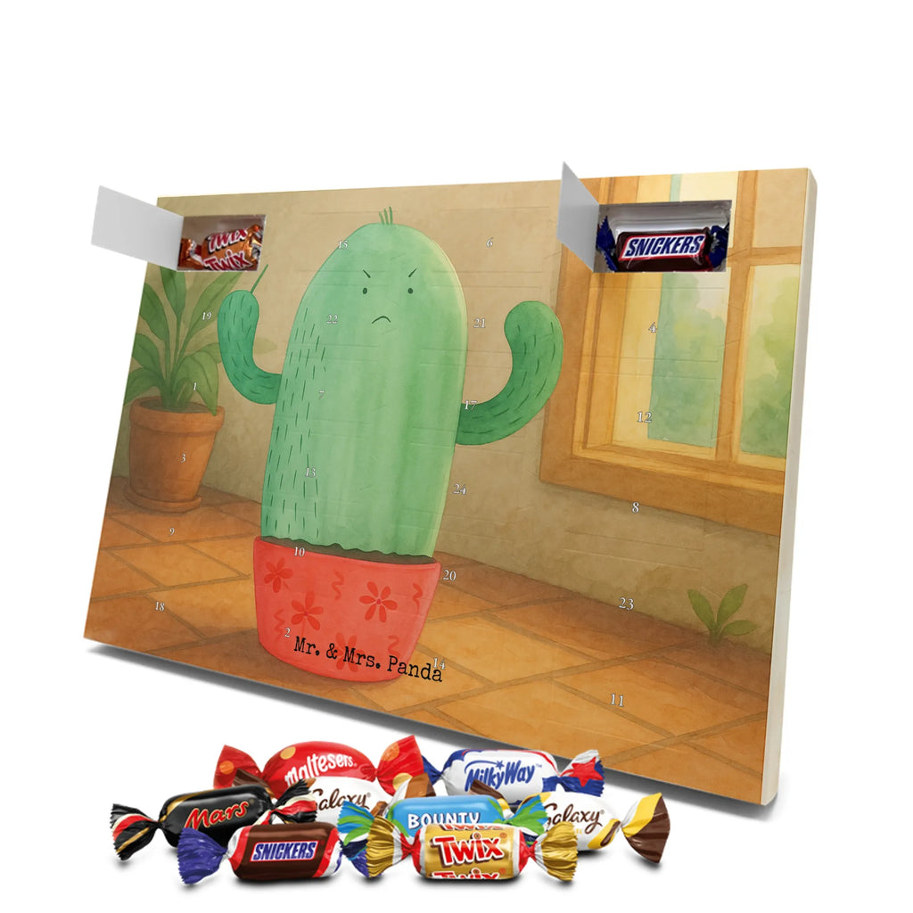 Chocolate advent calendar cactus Fury Design cactus, cactuses, plants, cactus plant, small green cactus, school, annoy, office life, colleague, angry