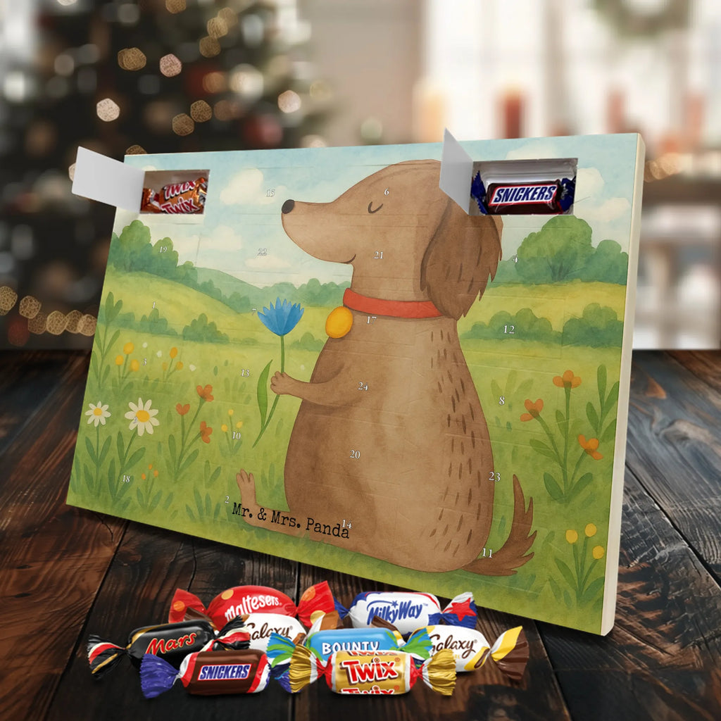 Chocolate advent calendar Dog flower Design dog breed, mutt, hound, woof, dog mama, love dogs, love for dogs, dog decorative items, bag with dog print, funny gifts for dog owners, what do you give a dog lover, Christmas gifts for dogs, gifts for dogs, dog sayings, dog lover, dogs, mistress, dog owners