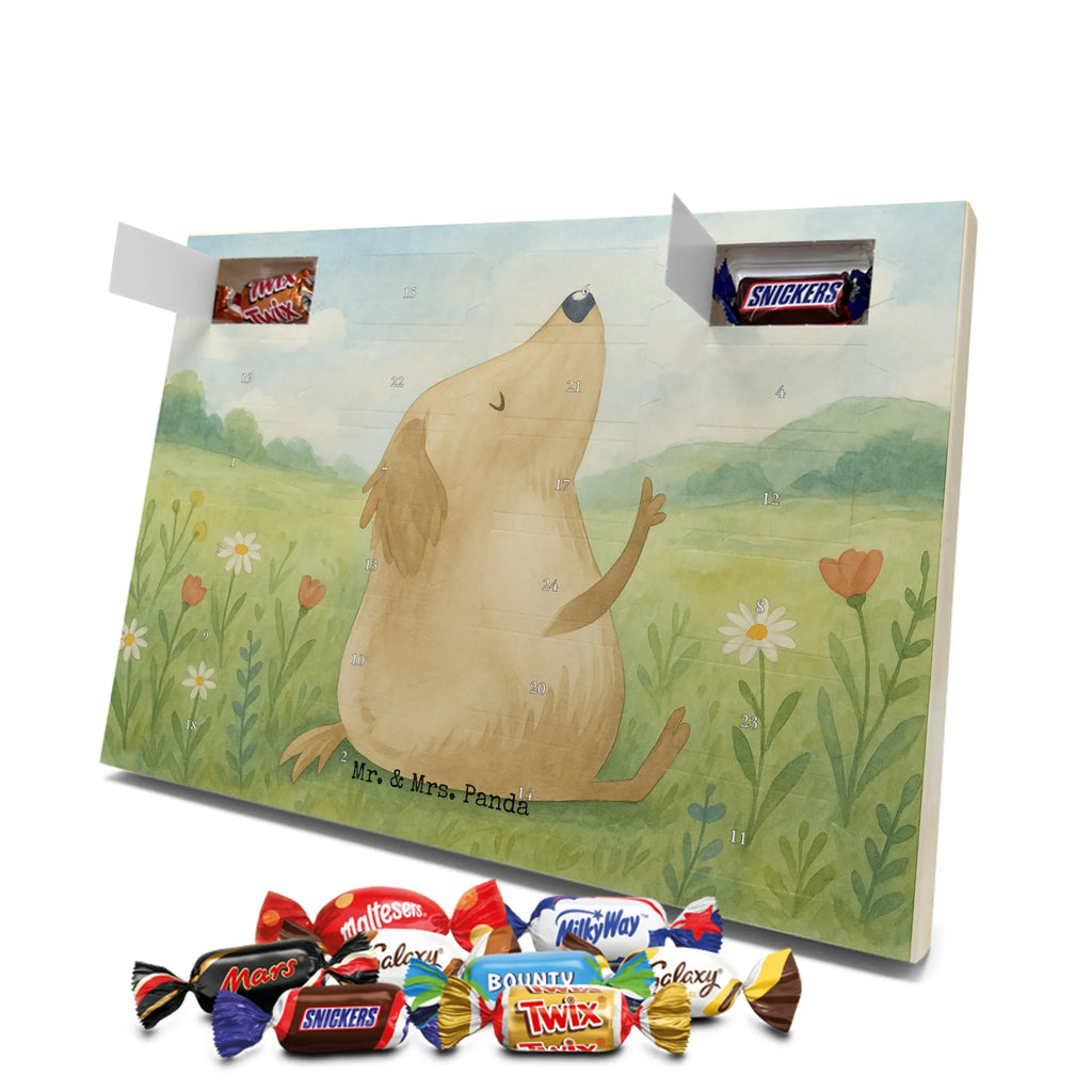  Pies miłość Design Pies, rasa psa, właściciel psa, miłośnik zwierząt, motyw psa, zwierzę domowe, powiedzenia