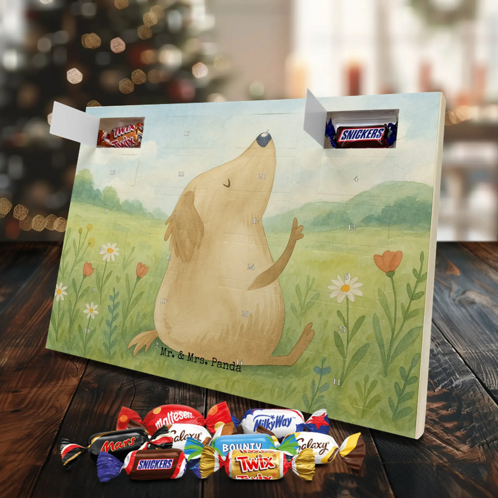  Pies miłość Design Pies, rasa psa, właściciel psa, miłośnik zwierząt, motyw psa, zwierzę domowe, powiedzenia