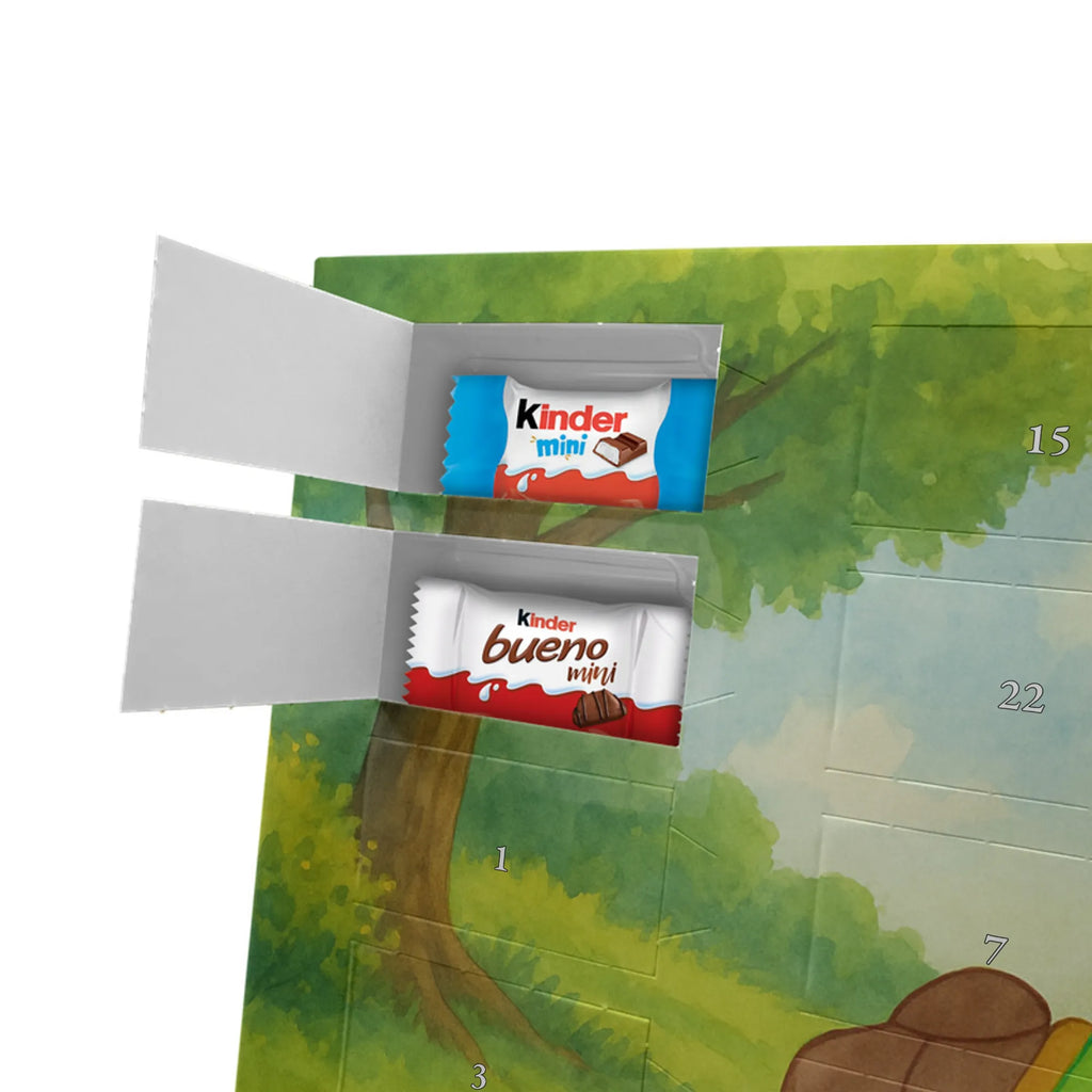 Chocolate advent calendar tortoise Pipes Design gift, gift ideas, cute, illustrated, tortoise, reptile, ancient creature, sweet, birthday gift, turtle gift items, funny turtle gifts, pet turtles, best friend, sister or daughter, turtle lover, new beginning, joy of life, separation, turtles