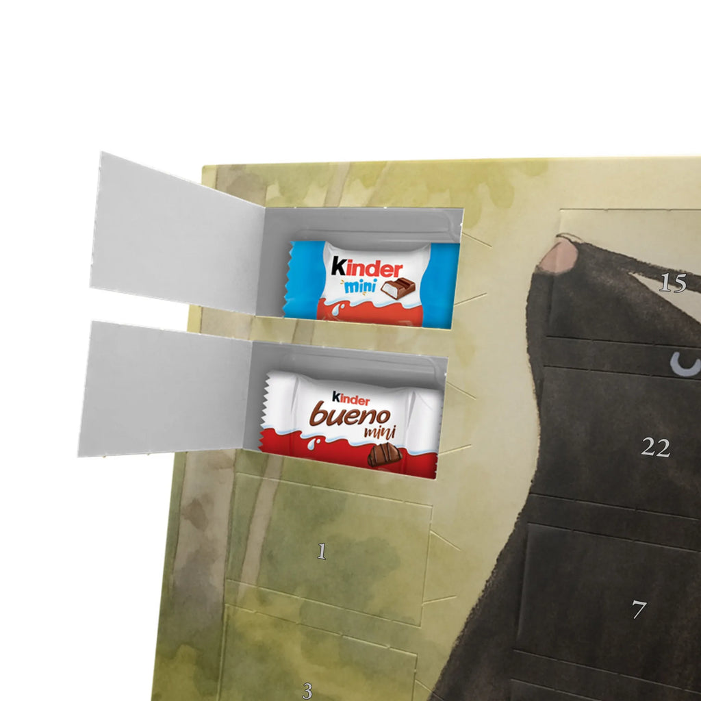 Chocolate advent calendar skunk Sit Design know-it-all, stinky, law, predator, wild animal