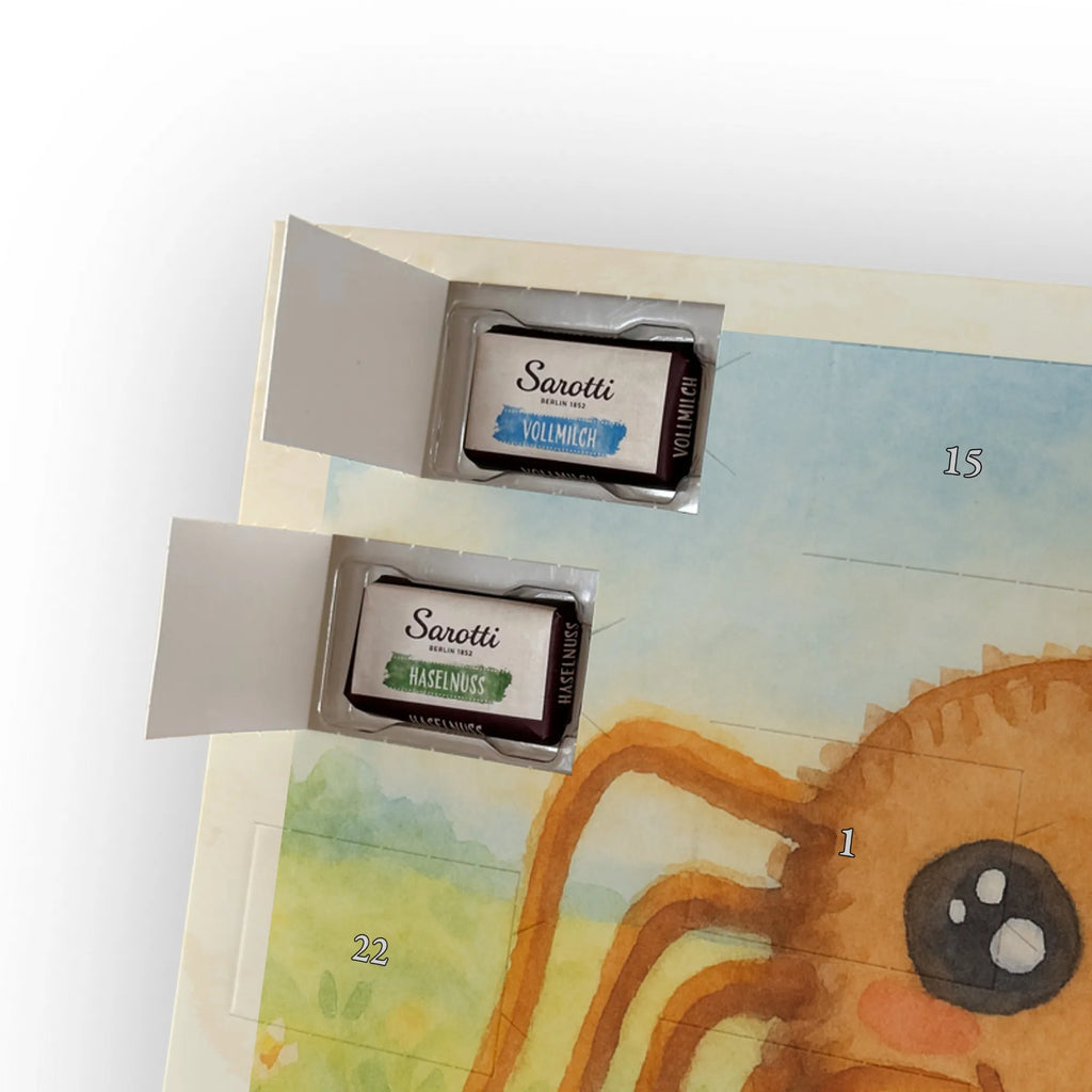 Chocolate advent calendar Spider Agathe Sandwich Design Spider Agathe, Spider