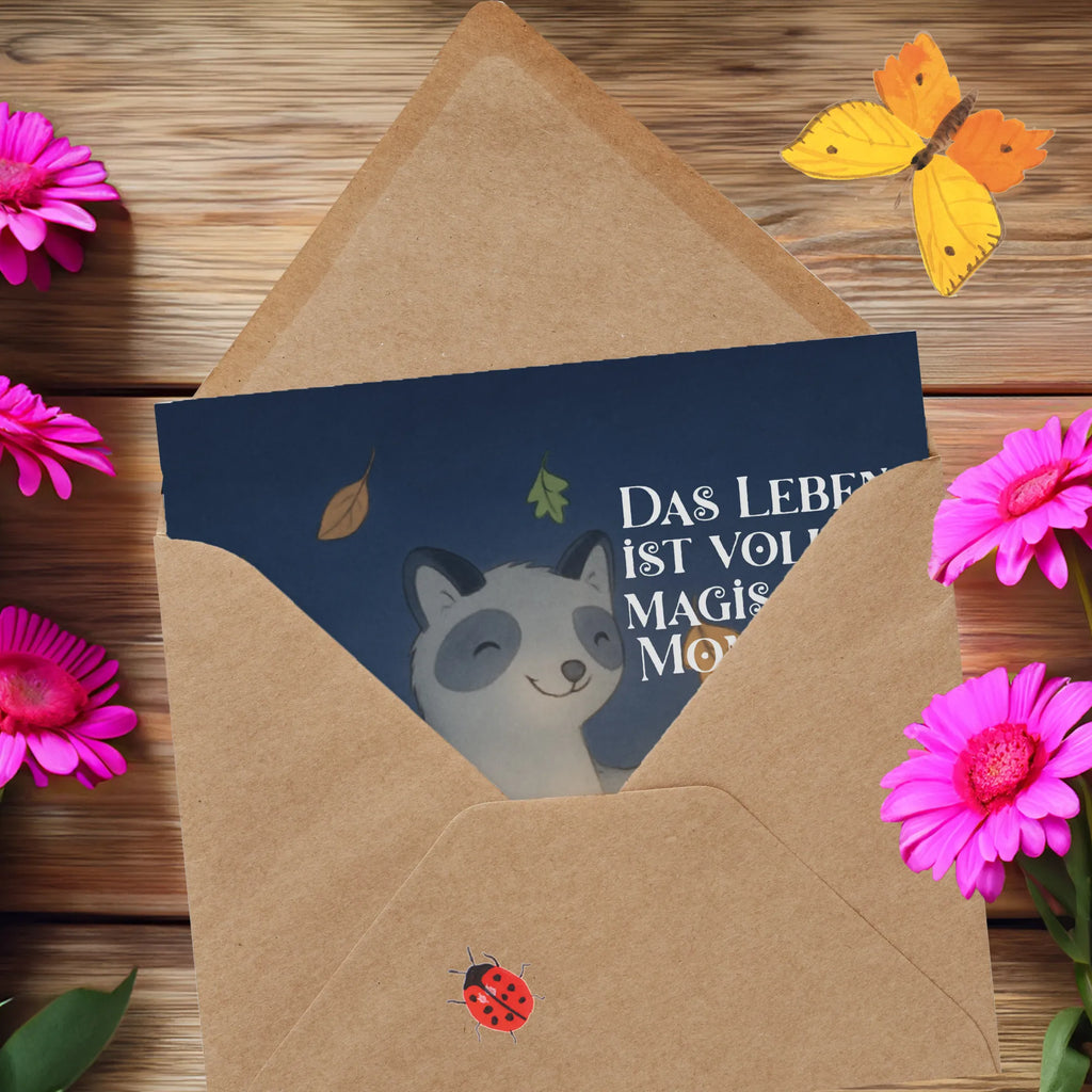 Karta Deluxe szop pracz latarnia Design dekoracja, dekoracje, prezenty, dawanie