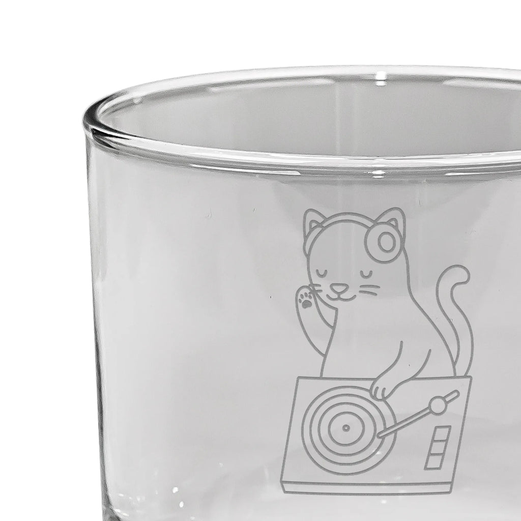 Personalized Whiskey Glass cat DJ Instruments, gifts for musicians, music enthusiasts