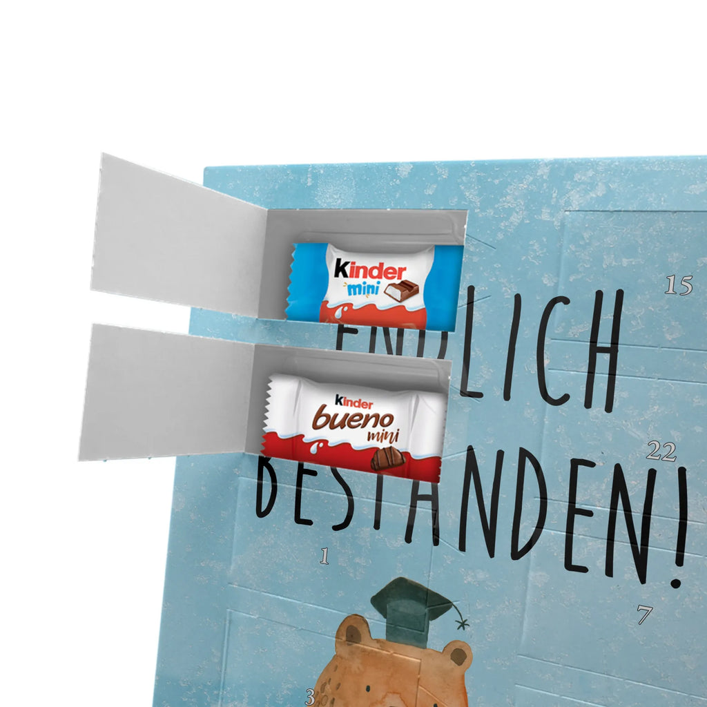  bear Test bear, teddy, teddy bear, cuddly toy, certificate, diploma, examinations, examination passed, degree, Abitur