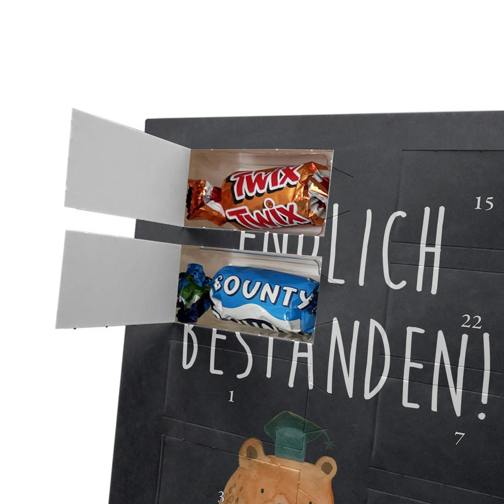  bear Test bear, teddy, teddy bear, cuddly toy, certificate, diploma, examinations, examination passed, degree, Abitur