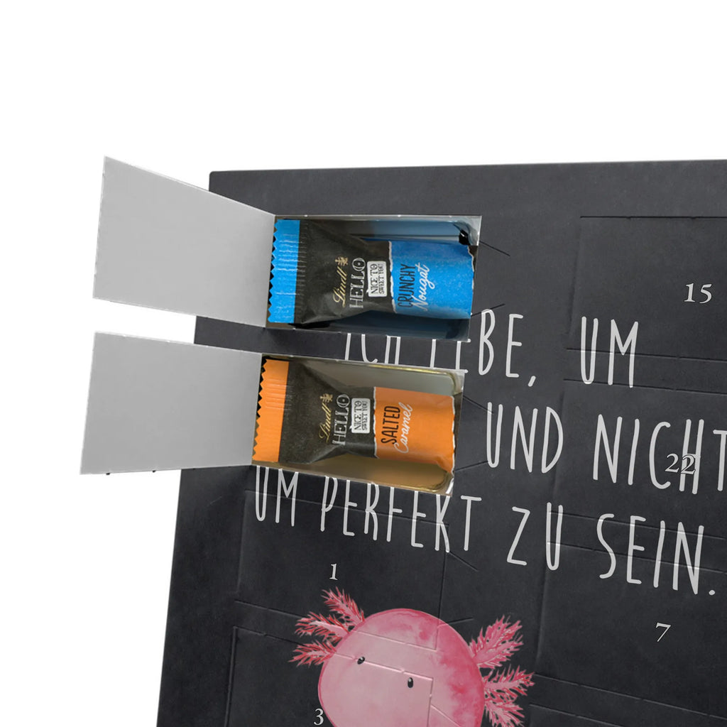  axolotl zero Axolotl, Axelotl, marine animals, Mexican walking fish, salamander, contented, girlfriend, love, wisdom, Axolot, happy, cheerful, worldly wisdom, lifestyle