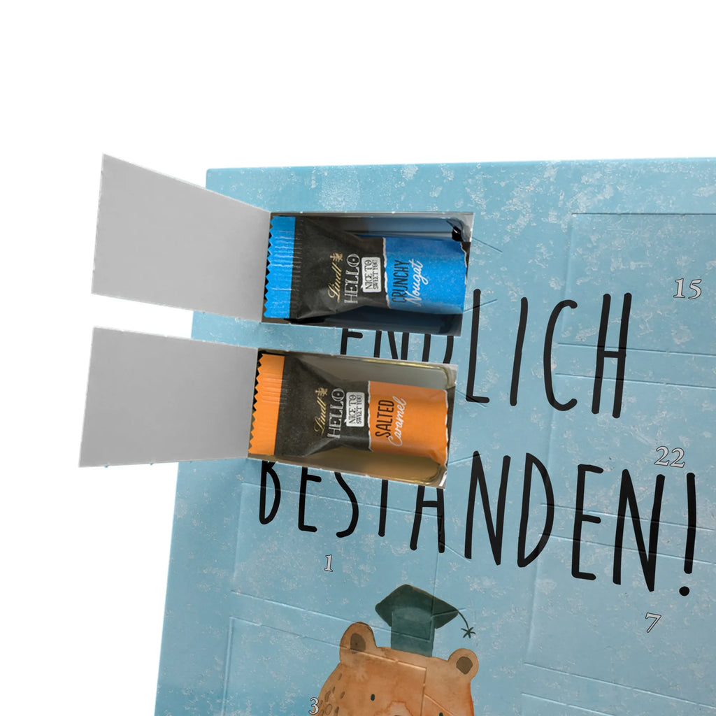  bear Test bear, teddy, teddy bear, cuddly toy, certificate, diploma, examinations, examination passed, degree, Abitur