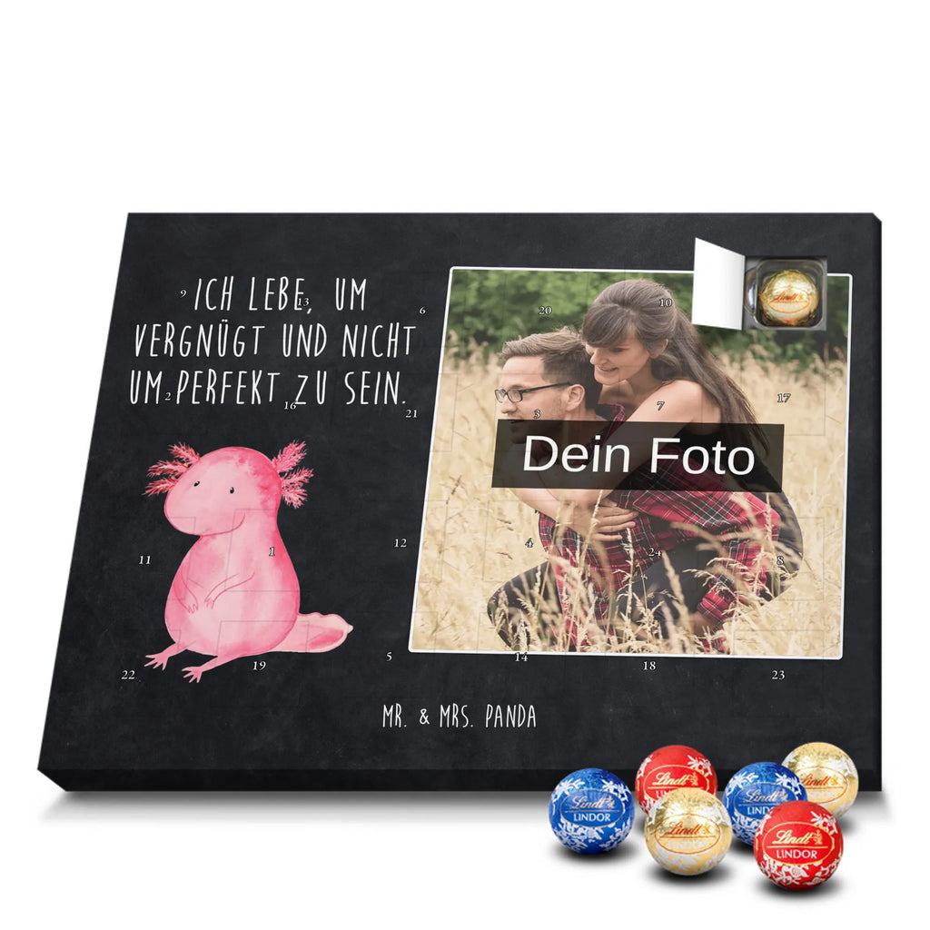  axolotl zero Axolotl, Axelotl, marine animals, Mexican walking fish, salamander, contented, girlfriend, love, wisdom, Axolot, happy, cheerful, worldly wisdom, lifestyle