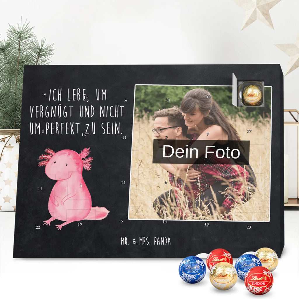  axolotl zero Axolotl, Axelotl, marine animals, Mexican walking fish, salamander, contented, girlfriend, love, wisdom, Axolot, happy, cheerful, worldly wisdom, lifestyle