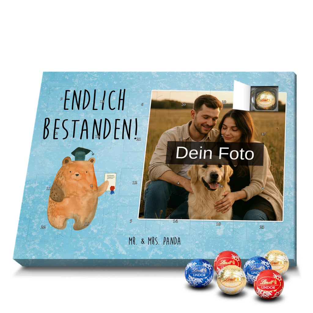  bear Test bear, teddy, teddy bear, cuddly toy, certificate, diploma, examinations, examination passed, degree, Abitur