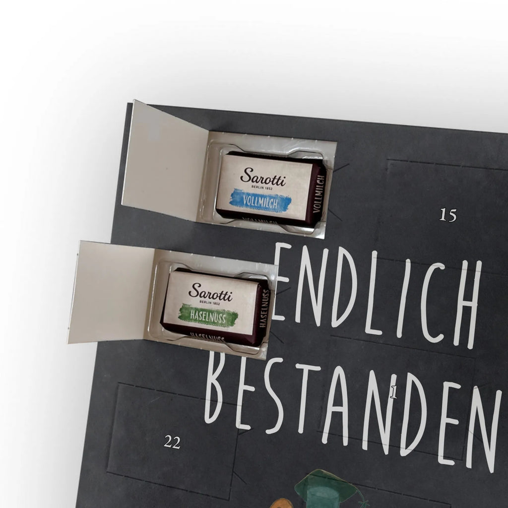  bear Test bear, teddy, teddy bear, cuddly toy, certificate, diploma, examinations, examination passed, degree, Abitur