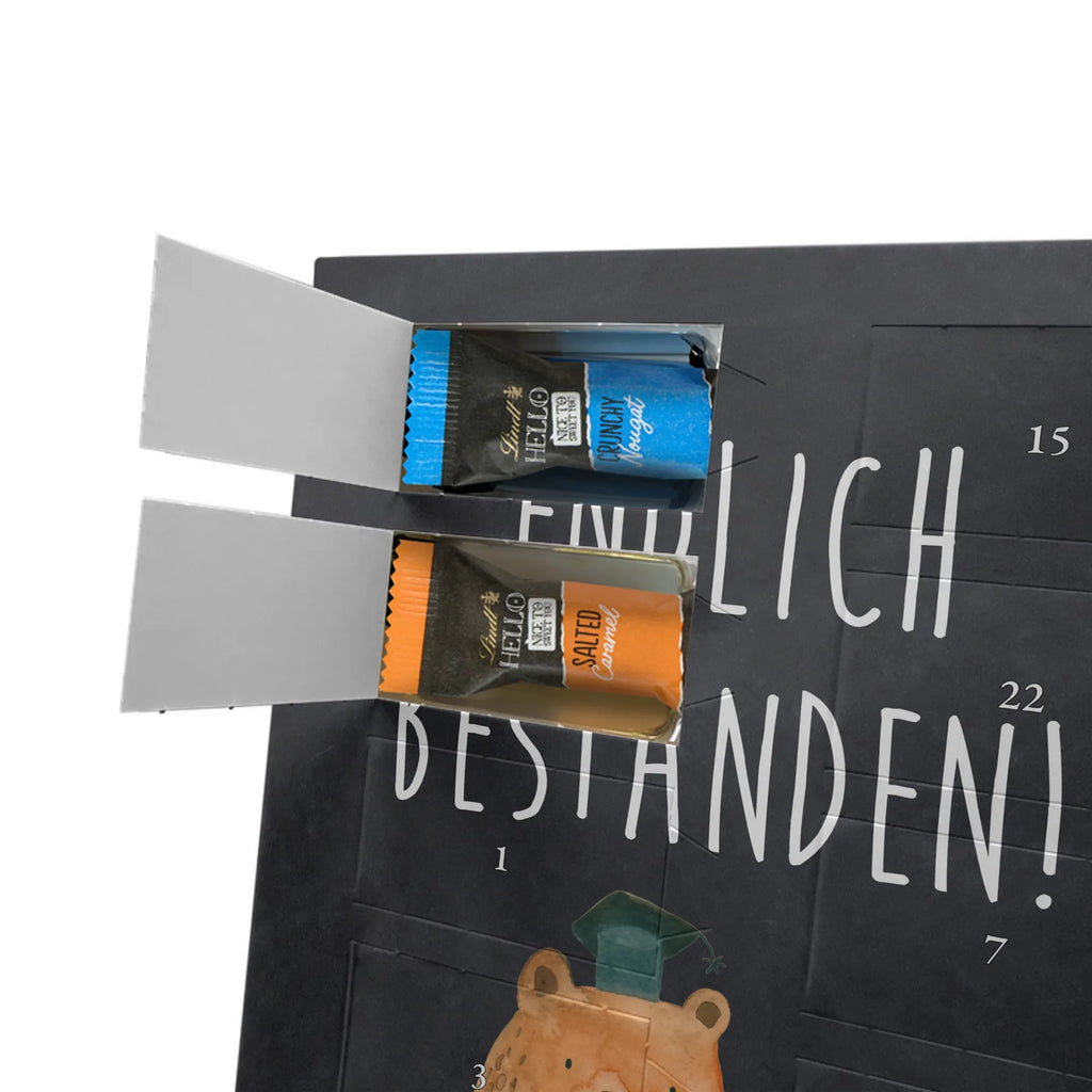  bear Test bear, teddy, teddy bear, cuddly toy, certificate, diploma, examinations, examination passed, degree, Abitur