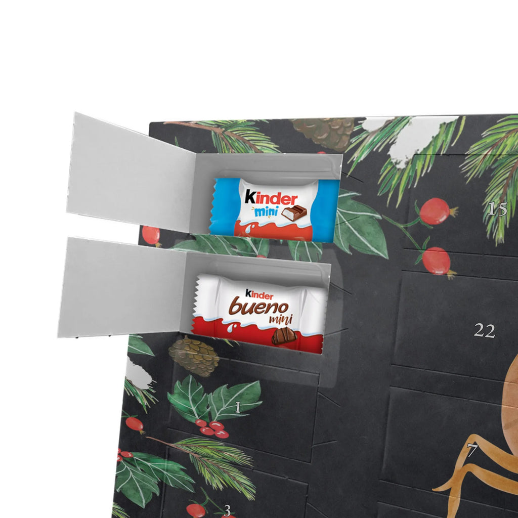 Adventskalender mit Namen Sternzeichen Skorpion Personalisierter Adventskalender, Adventskalender mit Namen, Sternzeichen, Tierkreiszeichen, Astrologie, Aszendent, Horoskop, Skorpion Sternzeichen, Geschenk November, Skorpion Geschenk, Geschenk Oktober, Geburtstag Oktober, Skorpione, Geburtstag November