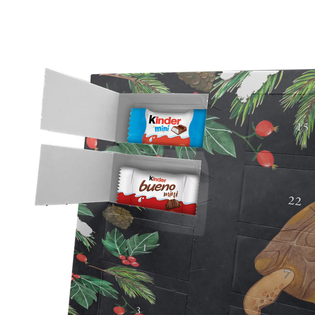  tortoise March Seafood, manatee, deep sea, aquatic animals, shrimp, gifts for seafood lovers, vacation, seafood fans, lobster, ocean, seafood posters, whale, reef, water world, underwater animals, sea urchin, narwhal, underwater world, corals, platypus, crocodile, seafood decoration, gift ideas, shells, turtles, favourite person, adventure, new start