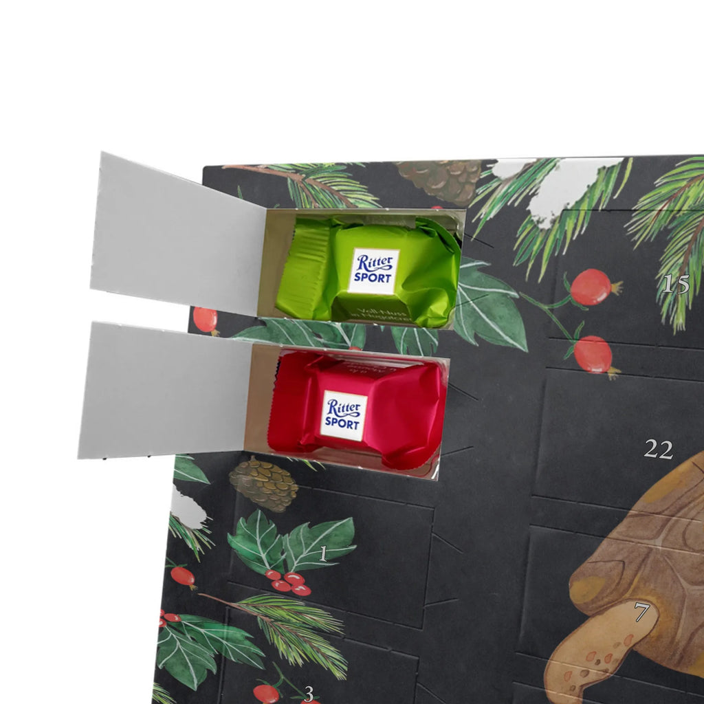  tortoise March Seafood, manatee, deep sea, aquatic animals, shrimp, gifts for seafood lovers, vacation, seafood fans, lobster, ocean, seafood posters, whale, reef, water world, underwater animals, sea urchin, narwhal, underwater world, corals, platypus, crocodile, seafood decoration, gift ideas, shells, turtles, favourite person, adventure, new start