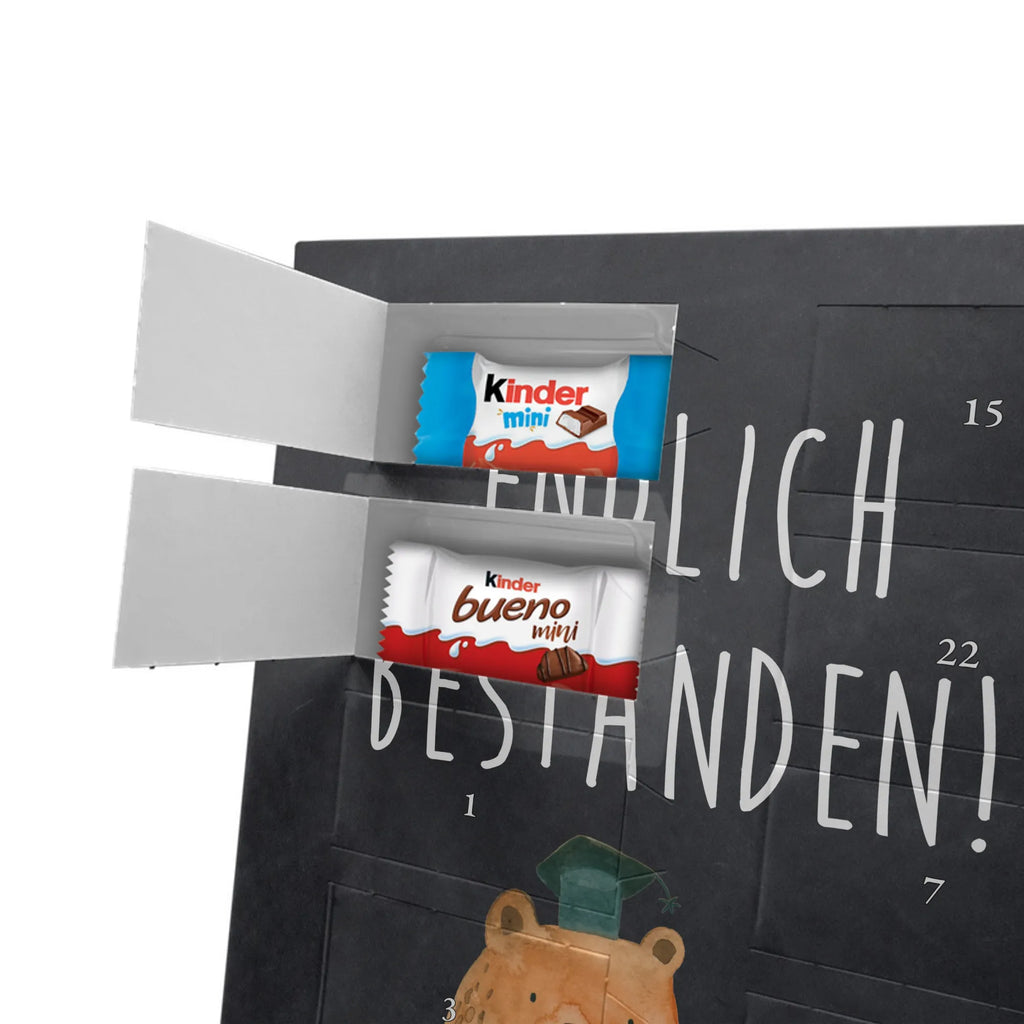  bear Test bear, teddy, teddy bear, cuddly toy, certificate, diploma, examinations, examination passed, degree, Abitur