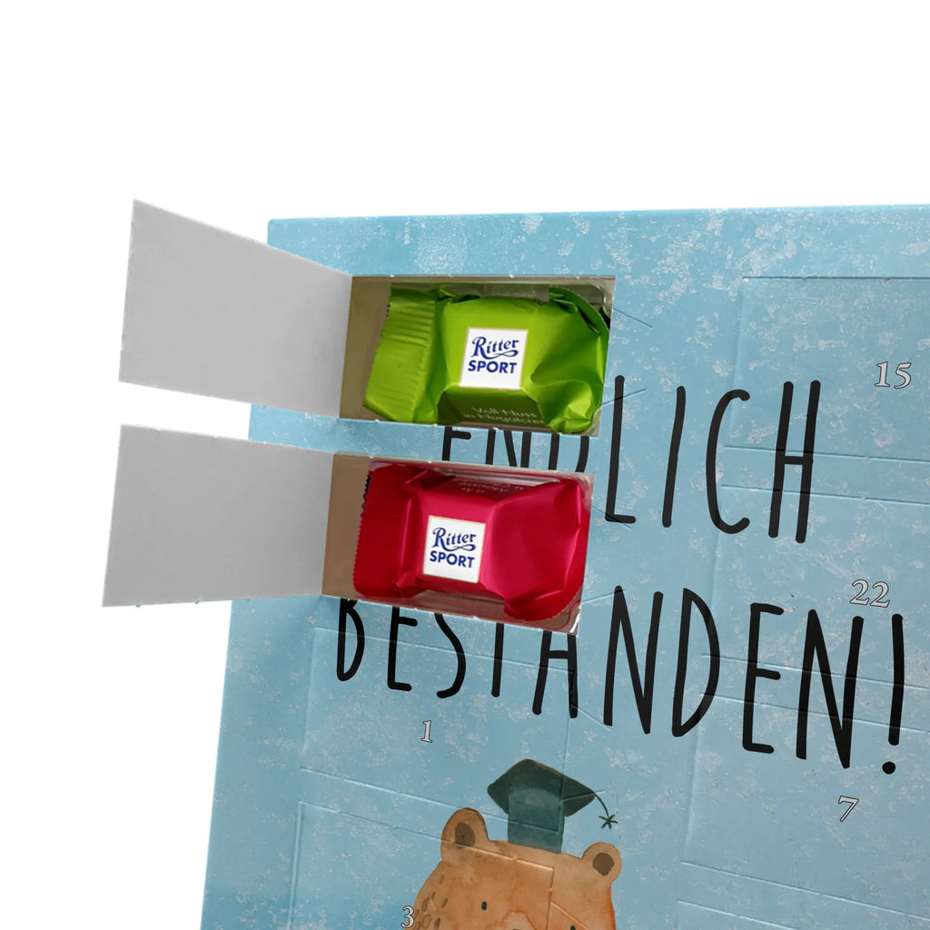  bear Test bear, teddy, teddy bear, cuddly toy, certificate, diploma, examinations, examination passed, degree, Abitur