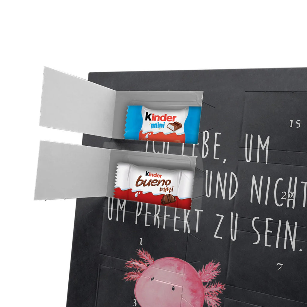  axolotl zero Axolotl, Axelotl, marine animals, Mexican walking fish, salamander, contented, girlfriend, love, wisdom, Axolot, happy, cheerful, worldly wisdom, lifestyle