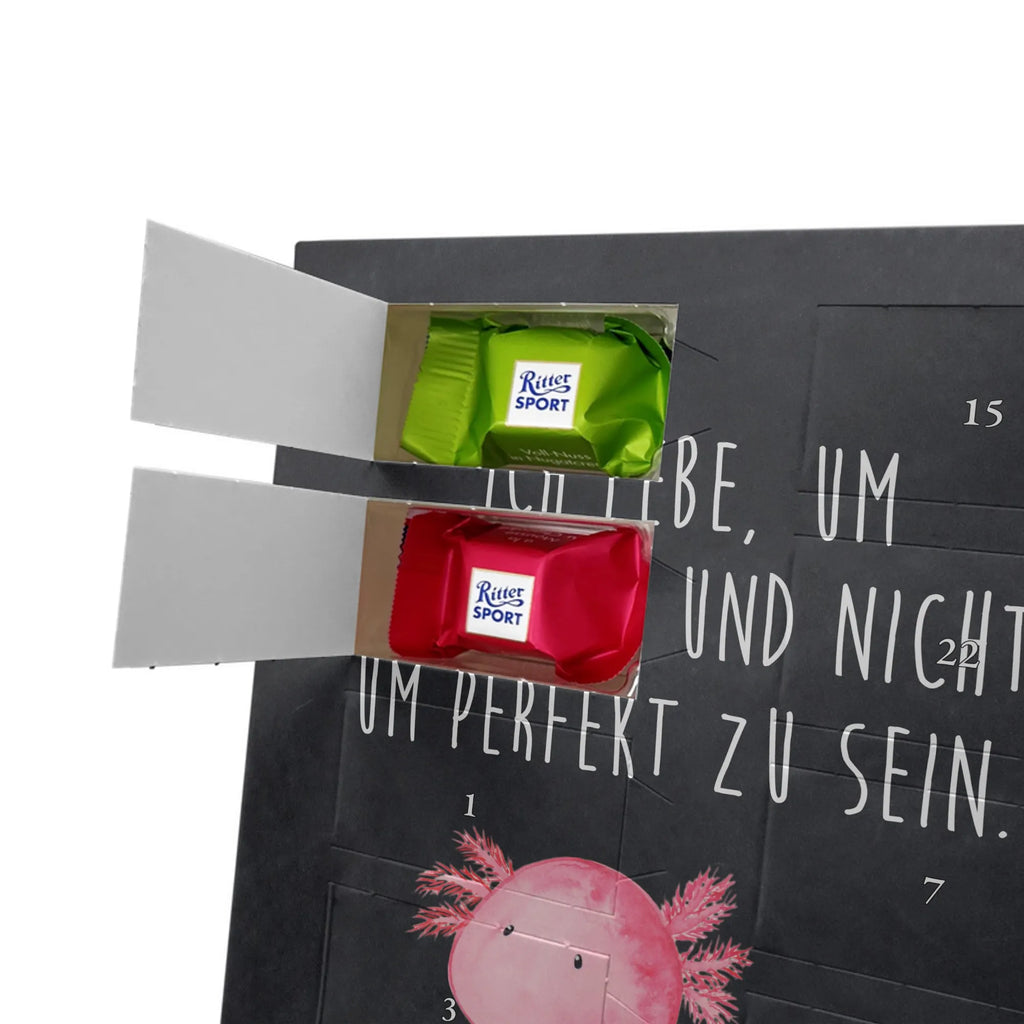  axolotl zero Axolotl, Axelotl, marine animals, Mexican walking fish, salamander, contented, girlfriend, love, wisdom, Axolot, happy, cheerful, worldly wisdom, lifestyle