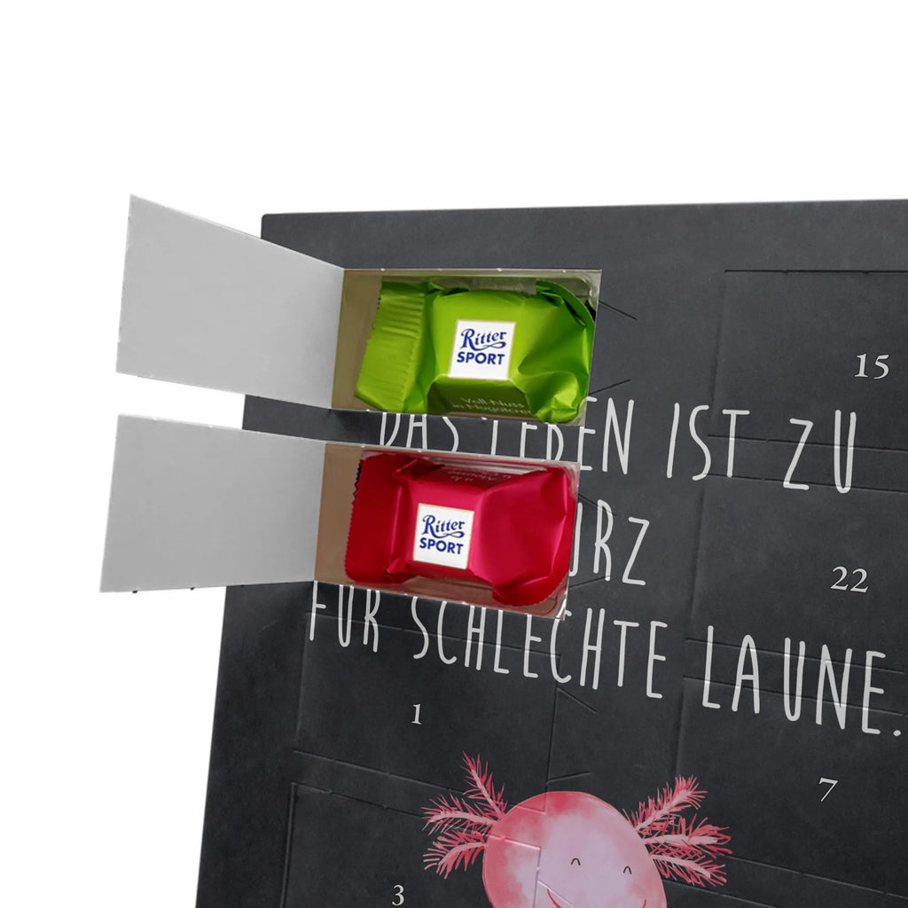  axolotl Happy Axolotl, Axelotl, marine animals, Mexican walking fish, salamander, motivation, good mood, tail, amphibian, axolotl, axolot