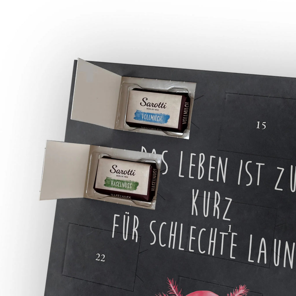  axolotl Happy Axolotl, Axelotl, marine animals, Mexican walking fish, salamander, motivation, good mood, tail, amphibian, axolotl, axolot