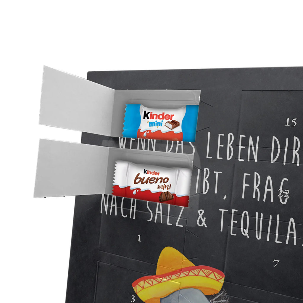  axolotl tequila Axolotl, Axelotl, marine animals, Mexican walking fish, salamander, Saying, Sombrero, Tail Lurch, Motivation, Fire Salamander, Axolot, Lemon, Mexico, Amphibian, Tequila, Fire Dragon