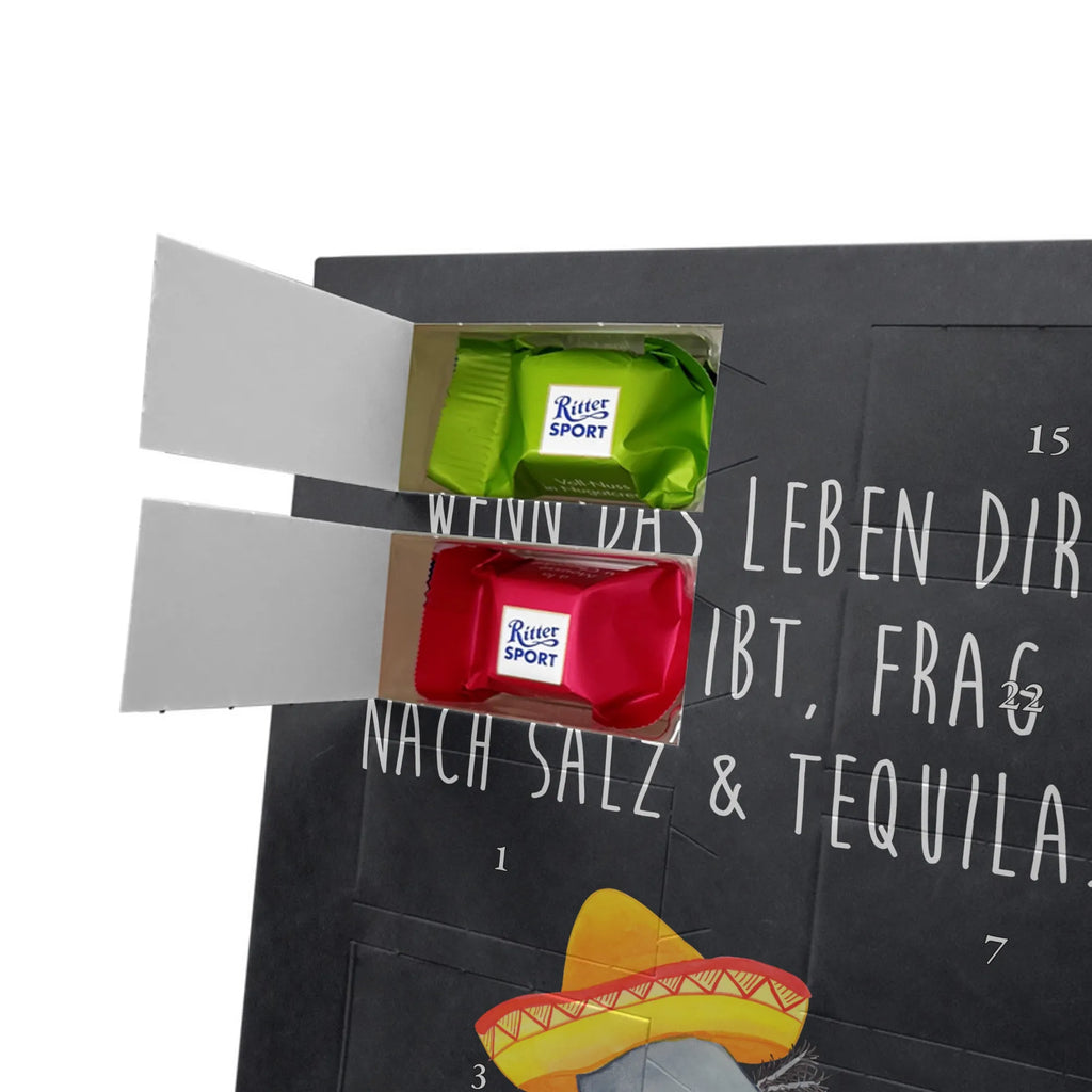  axolotl tequila Axolotl, Axelotl, marine animals, Mexican walking fish, salamander, Saying, Sombrero, Tail Lurch, Motivation, Fire Salamander, Axolot, Lemon, Mexico, Amphibian, Tequila, Fire Dragon