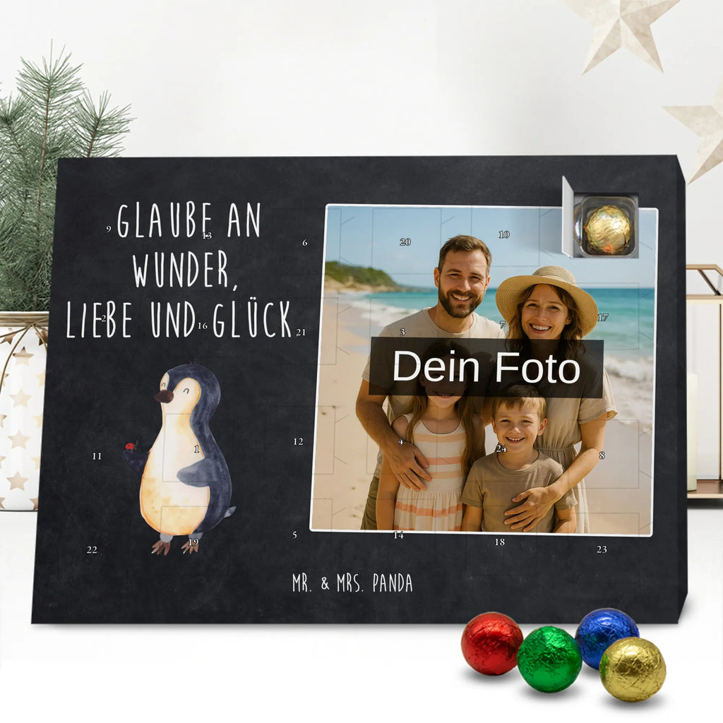  Penguin ladybug North Pole, Penguins, wonder, penguins, joy of life, joy, ladybird