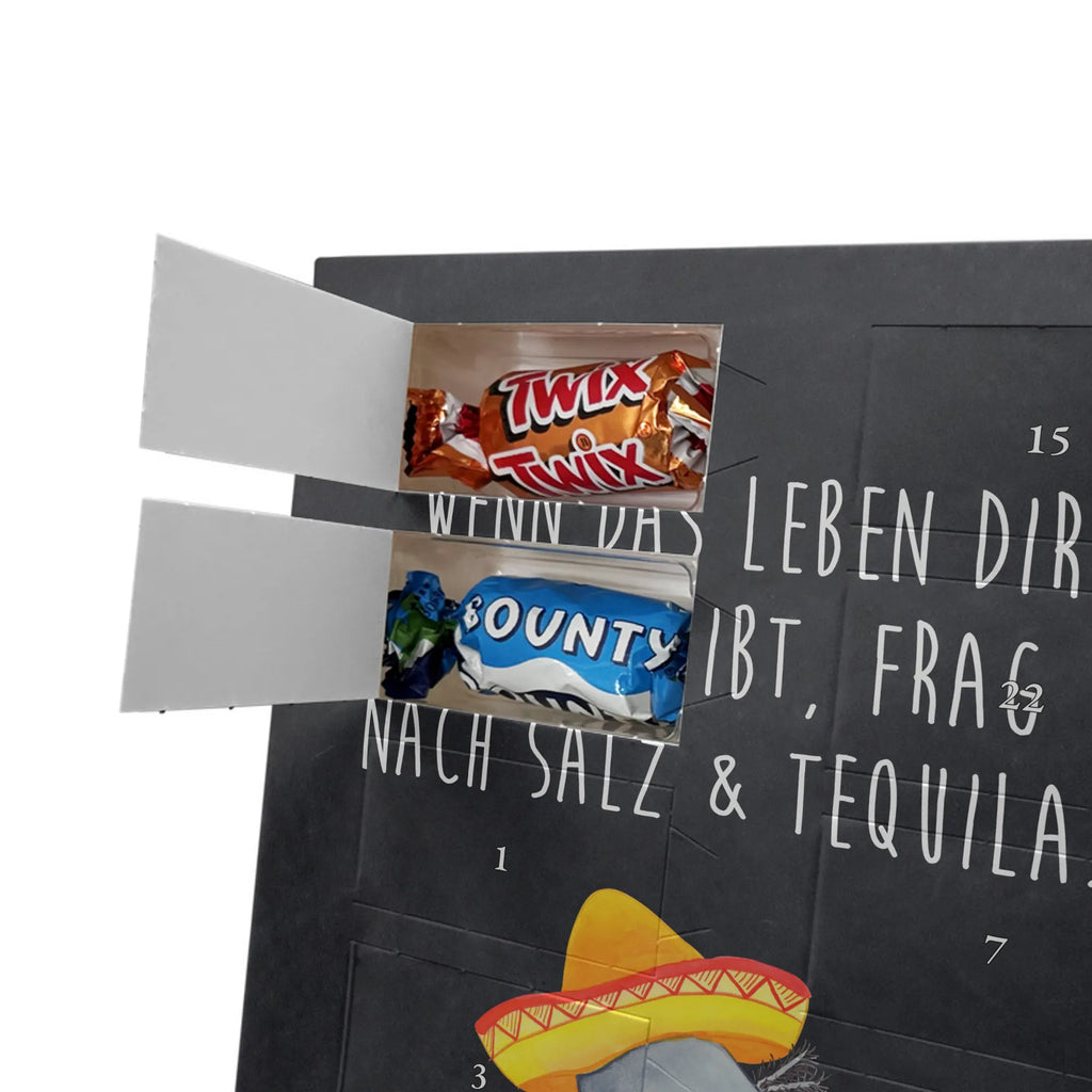  axolotl tequila Axolotl, Axelotl, marine animals, Mexican walking fish, salamander, Saying, Sombrero, Tail Lurch, Motivation, Fire Salamander, Axolot, Lemon, Mexico, Amphibian, Tequila, Fire Dragon