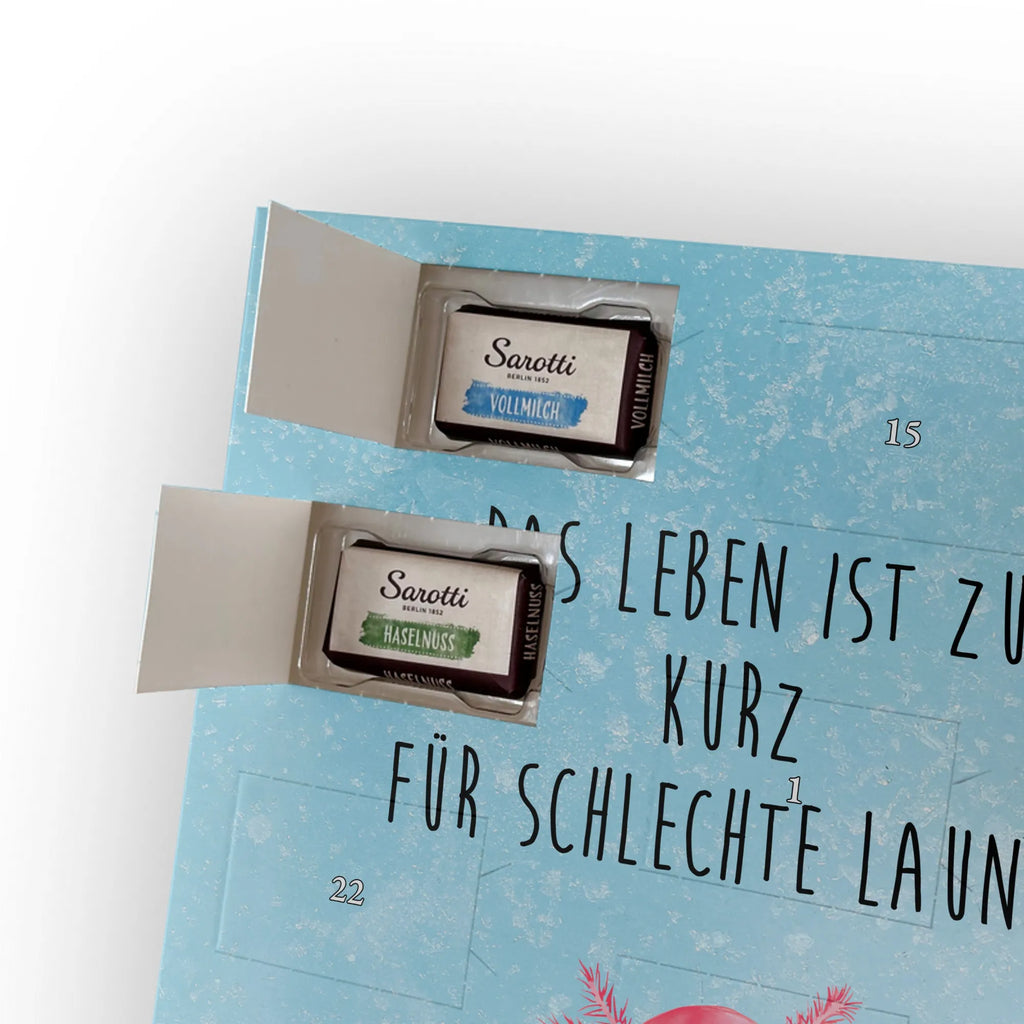  axolotl Happy Axolotl, Axelotl, marine animals, Mexican walking fish, salamander, motivation, good mood, tail, amphibian, axolotl, axolot