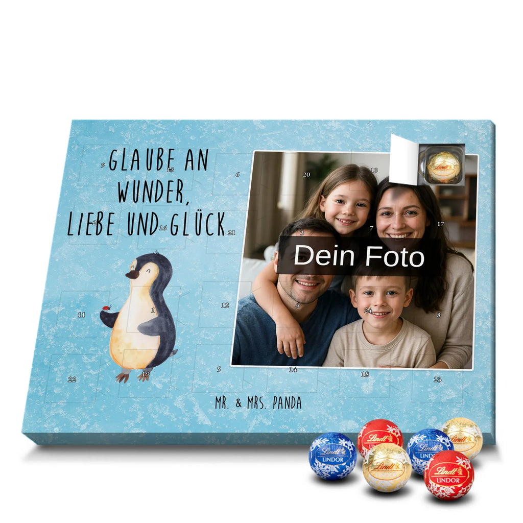  Penguin ladybug North Pole, Penguins, wonder, penguins, joy of life, joy, ladybird