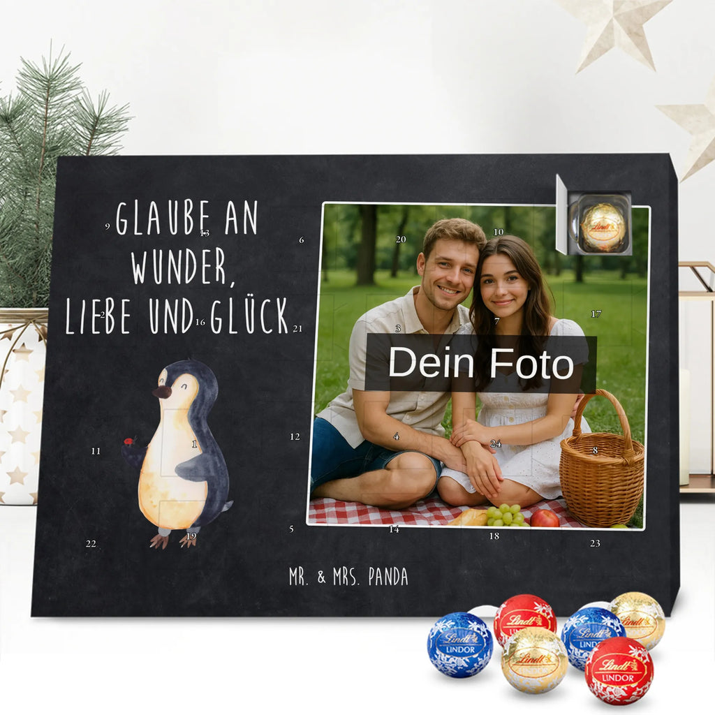  Penguin ladybug North Pole, Penguins, wonder, penguins, joy of life, joy, ladybird