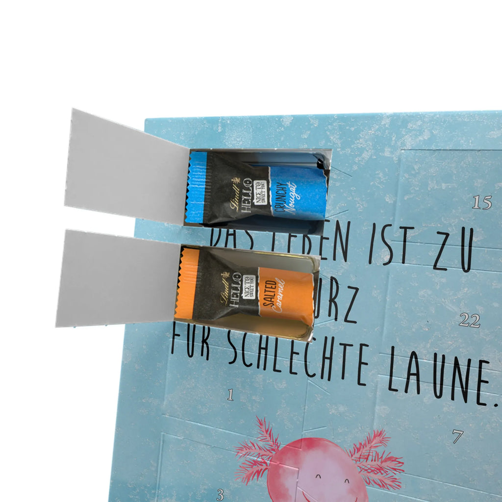  axolotl Happy Axolotl, Axelotl, marine animals, Mexican walking fish, salamander, motivation, good mood, tail, amphibian, axolotl, axolot