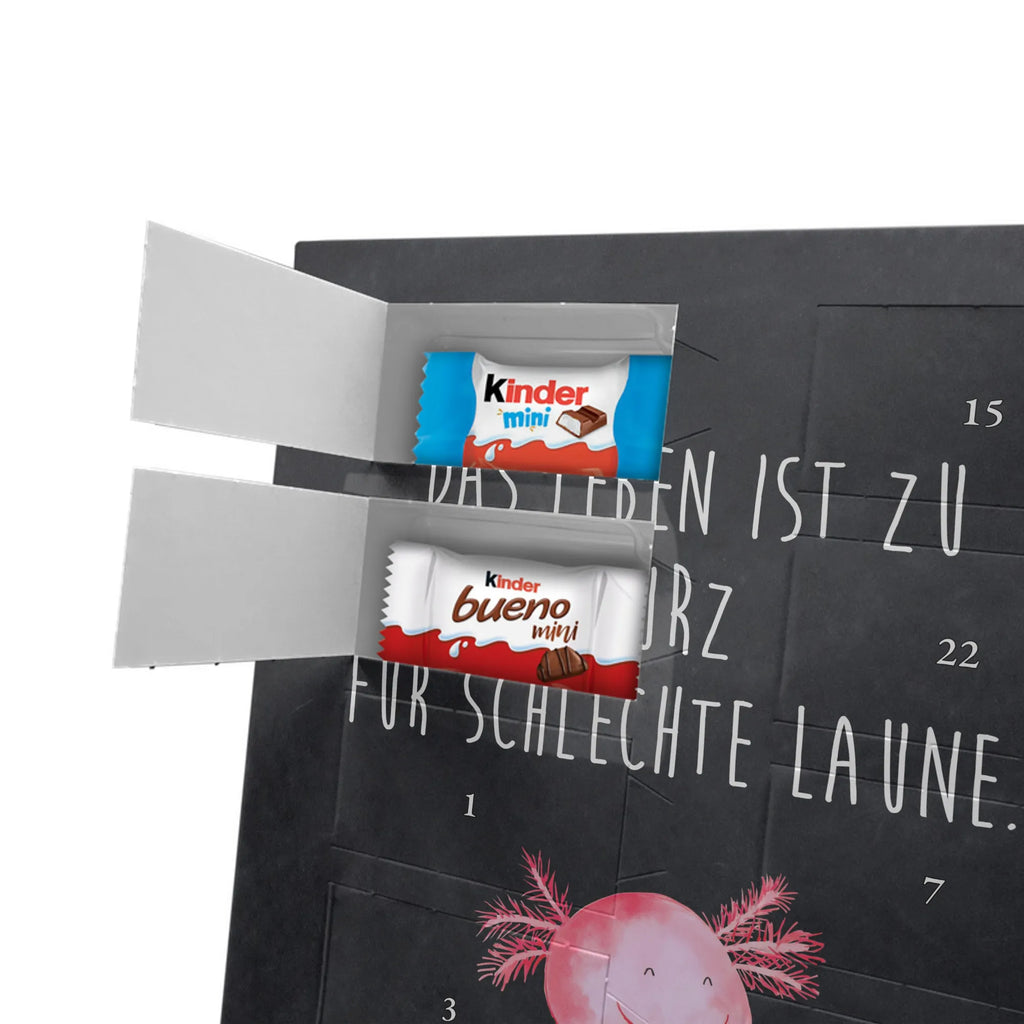  axolotl Happy Axolotl, Axelotl, marine animals, Mexican walking fish, salamander, motivation, good mood, tail, amphibian, axolotl, axolot